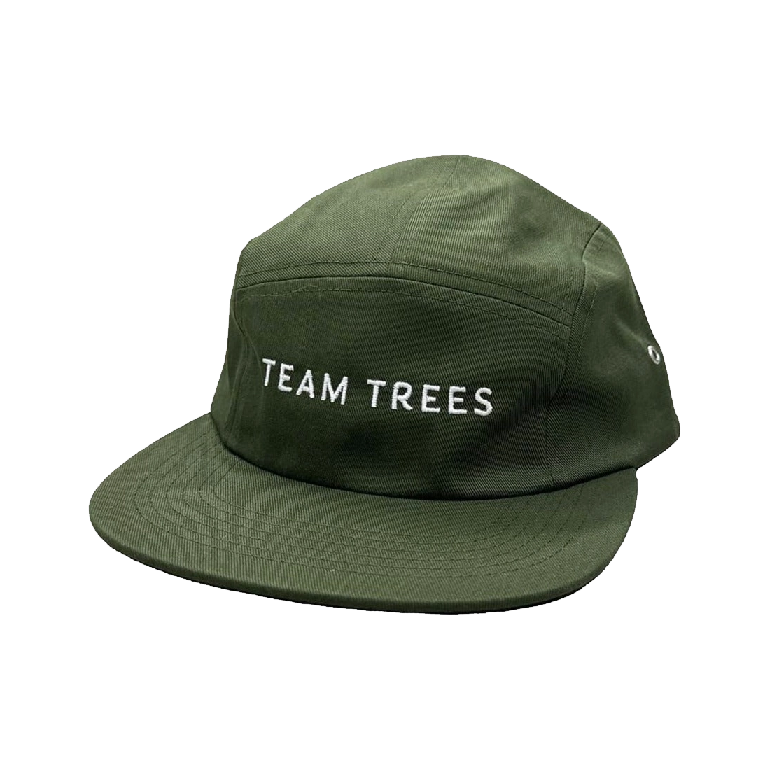 Team Trees Hat