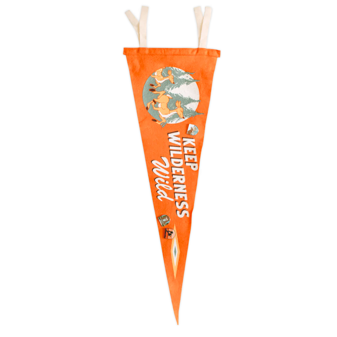 Keep Wilderness Wild Pennant