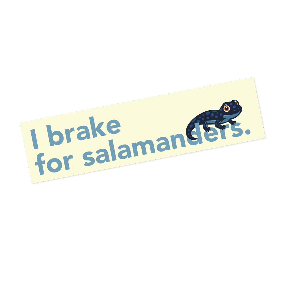 I Brake for Salamanders • Bumper Sticker